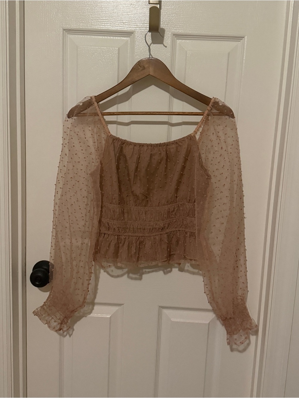 Peach Love Blouse in Dusty Pink with Sheer Puffy Sleeves